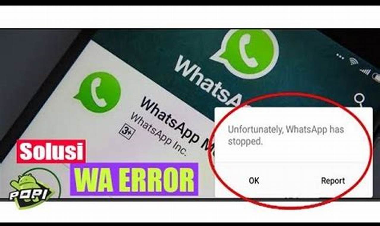 Cara Mengatasi Whatsapp Error Cara Mengatasi Whatsapp Error